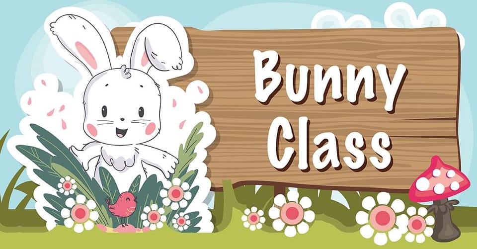 Bunny Class