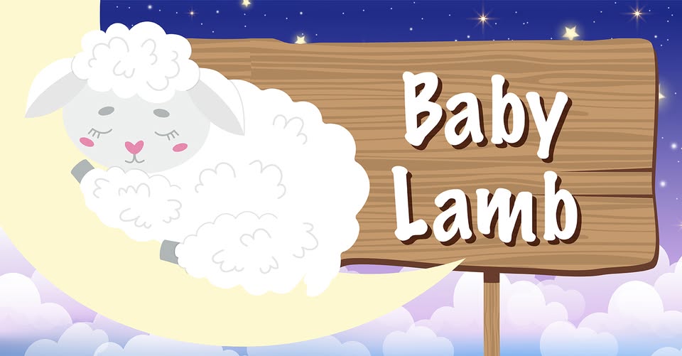 Baby Lambs