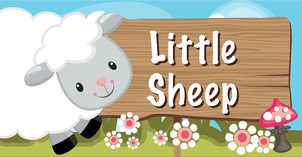 Little Sheep Class